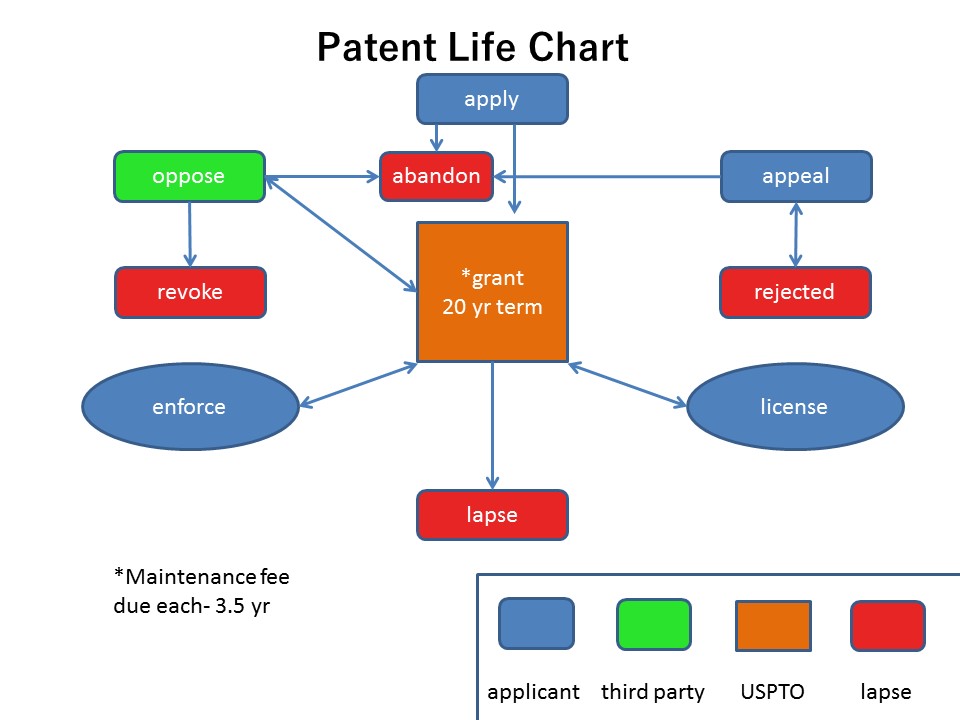 patent-life-chart