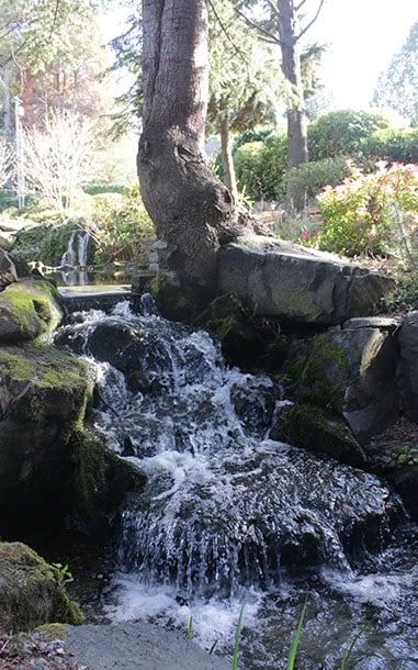 Feature-Cards-Crystal-Falls_0001_Beautiful-Setting-IMG_9152